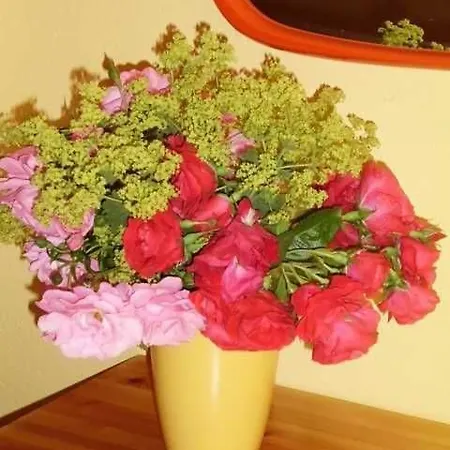 アパート Rosenhof